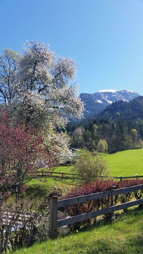 berchtesgadener naturkulisse